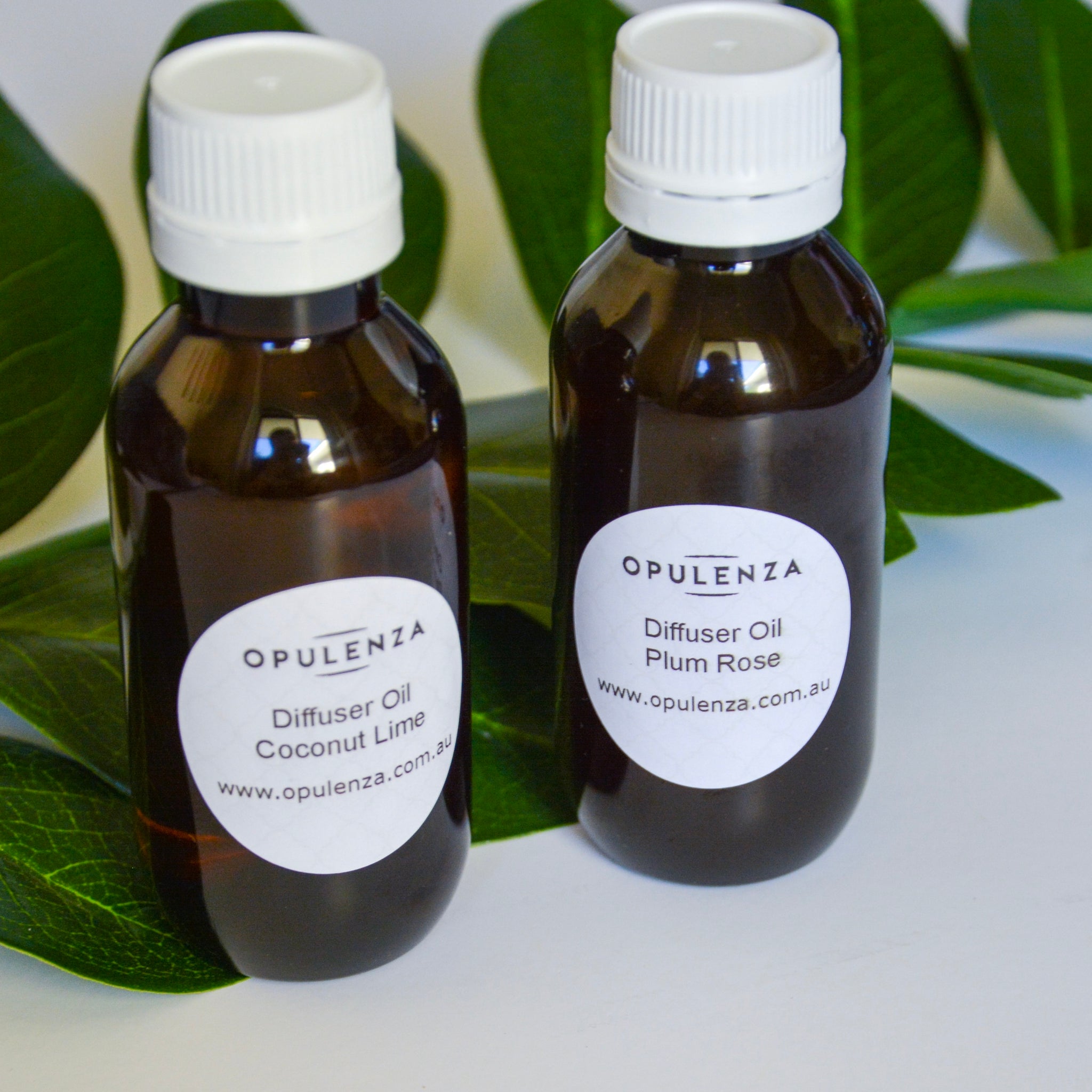 100ml Reed Diffuser Oil Refill